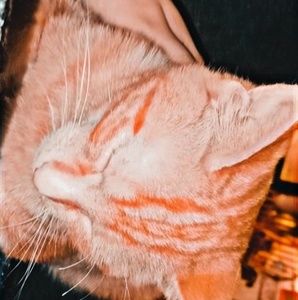 Meet your Posher, Karlee